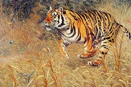 �����ͻ����ϻ�